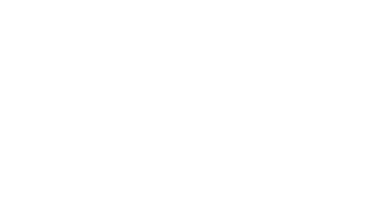 Logotipo de Noel Schajris